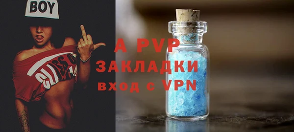гидра Аркадак