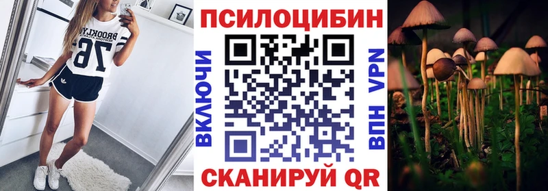 Псилоцибиновые грибы Cubensis  Куйбышев 
